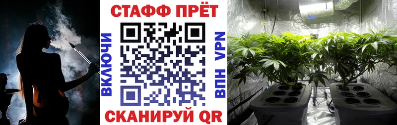 Псилоцибиновые грибы Светлый