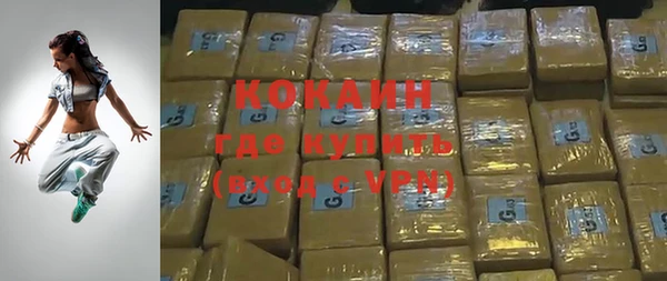 шишки Белокуриха