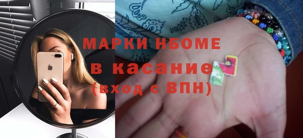 шишки Белокуриха