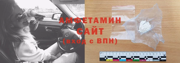 шишки Белокуриха