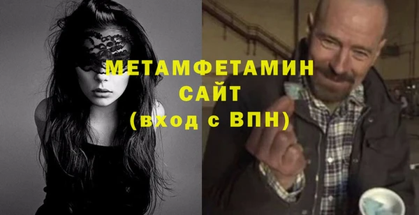шишки Белокуриха