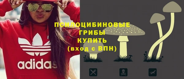 шишки Белокуриха