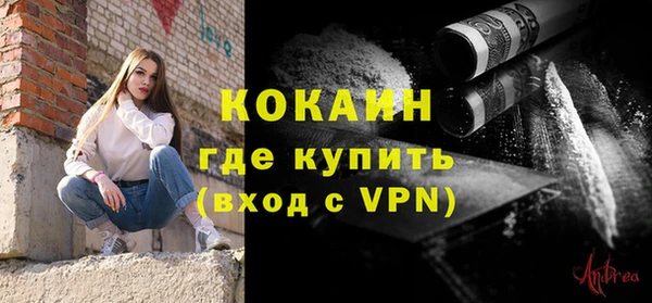 шишки Белокуриха