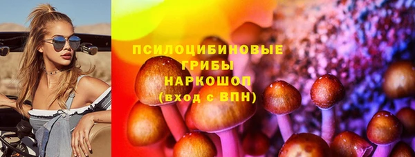 шишки Белокуриха
