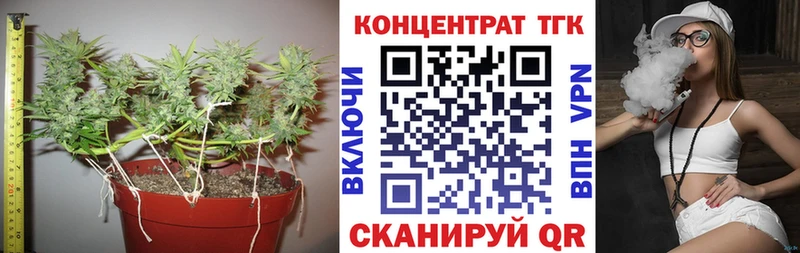 ТГК Wax  даркнет официальный сайт  Светлый  blacksprut ТОР 