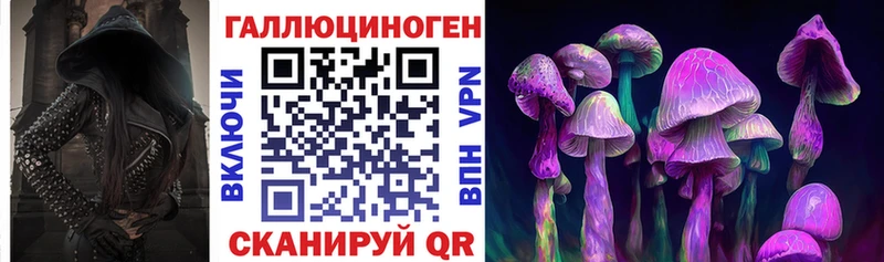 Псилоцибиновые грибы Cubensis хочу наркоту omg как войти даркнет как зайти Светлый